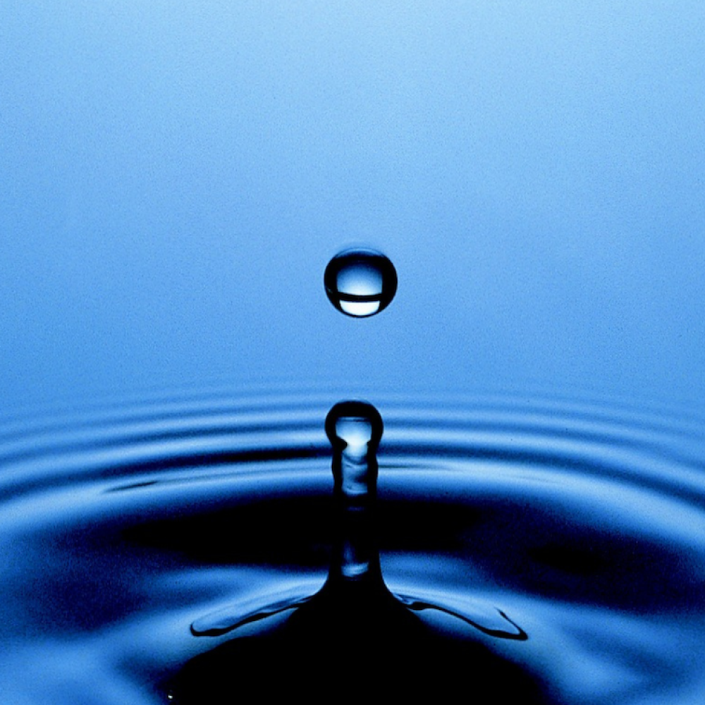 Act Kurs 6: Beherztes Handeln (Commitment)