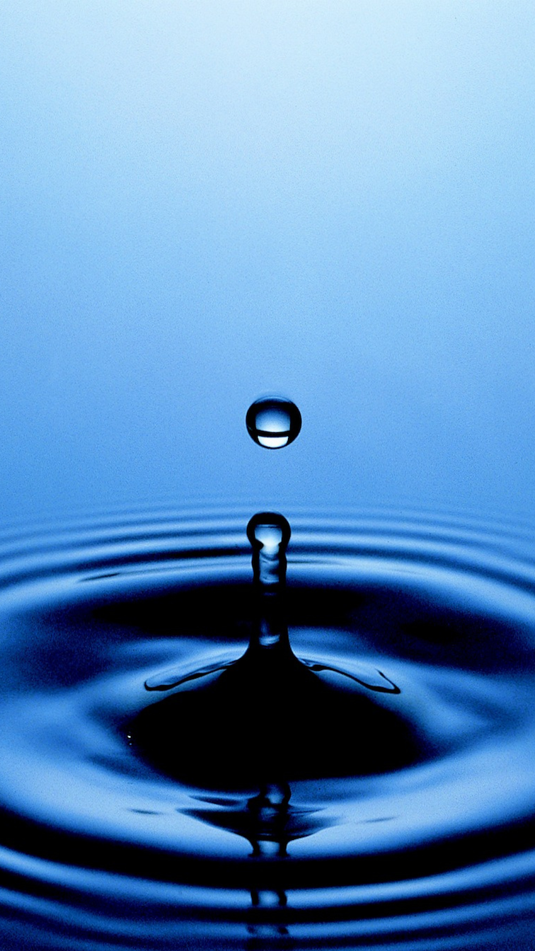 Act Kurs 6: Beherztes Handeln (Commitment)